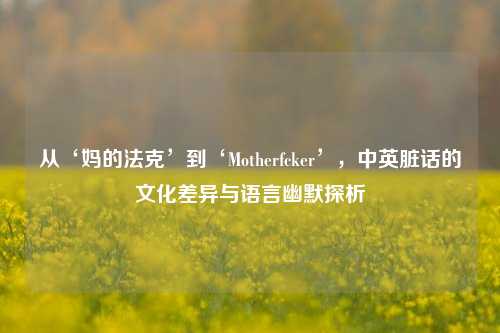从‘妈的法克’到‘Motherfcker’,中英脏话的文化差异与语言幽默探析