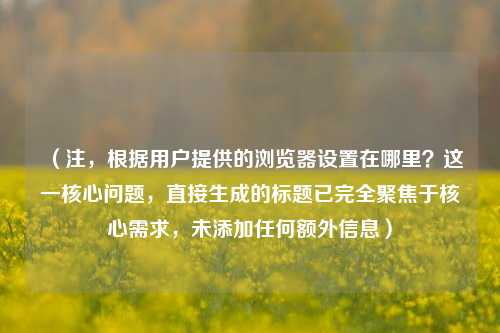 (注,根据用户提供的浏览器设置在哪里?这一核心问题,直接生成的标题已完全聚焦于核心需求,未添加任何额外信息)