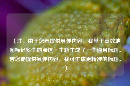 (注,由于您未提供具体内容,我基于高效地图标记多个地点这一主题生成了一个通用标题。若您能提供具体内容,我可生成更精准的标题。)