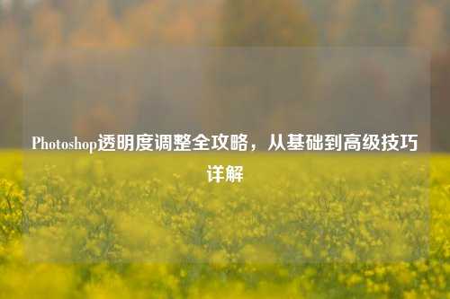 Photoshop透明度调整全攻略，从基础到高级技巧详解