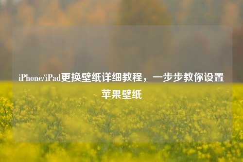 iPhone/iPad更换壁纸详细教程，一步步教你设置苹果壁纸