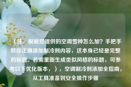 （注，根据您提供的空调雪种怎么加？手把手教你正确添加制冷剂内容，这本身已经是完整的标题。若需重新生成类似风格的标题，可参考以下优化版本，），空调制冷剂添加全指南，从工具准备到安全操作步骤