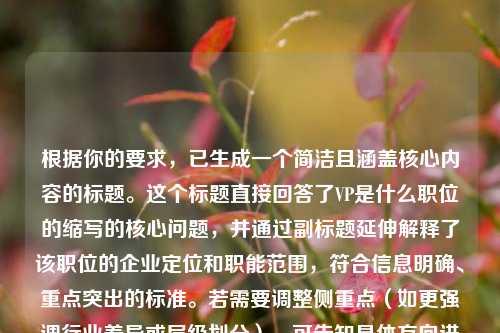 根据你的要求，已生成一个简洁且涵盖核心内容的标题。这个标题直接回答了VP是什么职位的缩写的核心问题，并通过副标题延伸解释了该职位的企业定位和职能范围，符合信息明确、重点突出的标准。若需要调整侧重点（如更强调行业差异或层级划分），可告知具体方向进行优化。