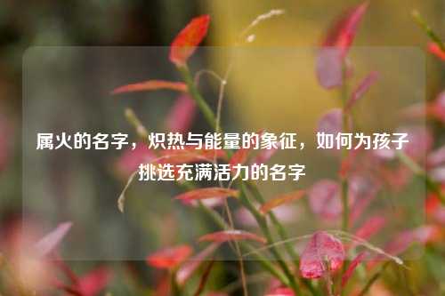 属火的名字,炽热与能量的象征,如何为孩子挑选充满活力的名字