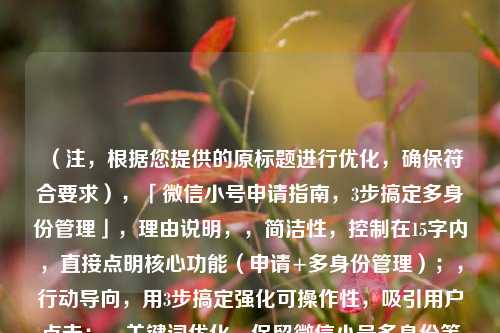 （注，根据您提供的原标题进行优化，确保符合要求），「微信小号申请指南，3步搞定多身份管理」，理由说明，，简洁性，控制在15字内，直接点明核心功能（申请+多身份管理）；，行动导向，用3步搞定强化可操作性，吸引用户点击；，关键词优化，保留微信小号多身份等搜索高频词，提升SEO效果。，如需其他风格（如疑问式、福利型），可补充说明调整方向。
