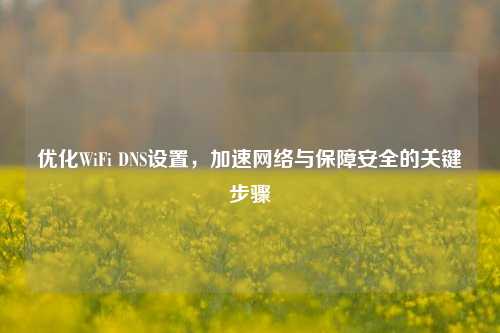 优化WiFi DNS设置,加速网络与保障安全的关键步骤