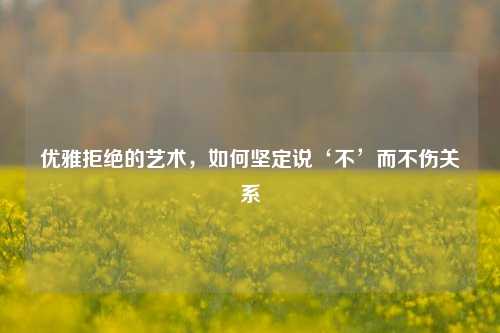 优雅拒绝的艺术,如何坚定说‘不’而不伤关系