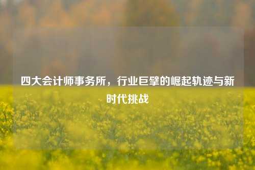 四大会计师事务所,行业巨擘的崛起轨迹与新时代挑战