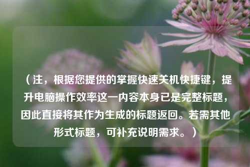 (注,根据您提供的掌握快速关机快捷键,提升电脑操作效率这一内容本身已是完整标题,因此直接将其作为生成的标题返回。若需其他形式标题,可补充说明需求。)