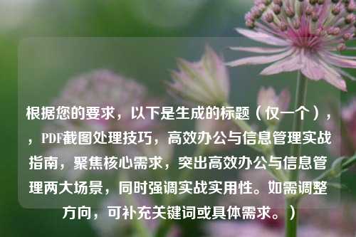 根据您的要求，以下是生成的标题（仅一个），，PDF截图处理技巧，高效办公与信息管理实战指南，聚焦核心需求，突出高效办公与信息管理两大场景，同时强调实战实用性。如需调整方向，可补充关键词或具体需求。）