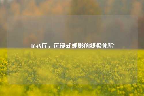 IMAX厅,沉浸式观影的终极体验