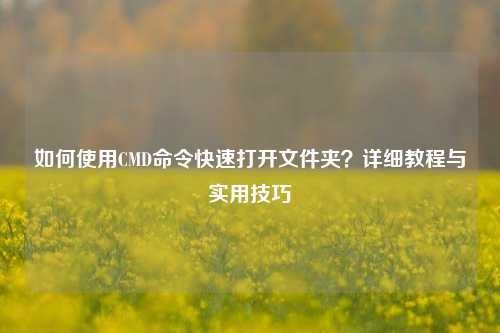 如何使用CMD命令快速打开文件夹?详细教程与实用技巧