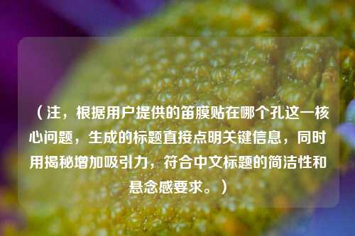 （注，根据用户提供的笛膜贴在哪个孔这一核心问题，生成的标题直接点明关键信息，同时用揭秘增加吸引力，符合中文标题的简洁性和悬念感要求。）