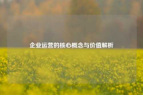 企业运营的核心概念与价值解析