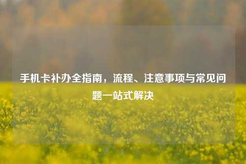 手机卡补办全指南,流程、注意事项与常见问题一站式解决