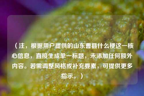(注,根据用户提供的山东曹县什么梗这一核心信息,直接生成单一标题,未添加任何额外内容。若需调整风格或补充要素,可提供更多指示。)
