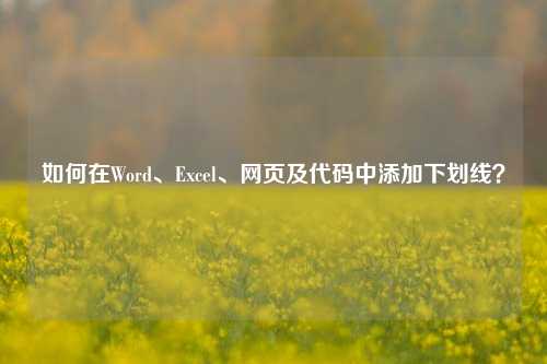 如何在Word、Excel、网页及代码中添加下划线？
