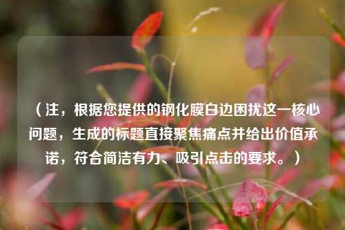 （注，根据您提供的钢化膜白边困扰这一核心问题，生成的标题直接聚焦痛点并给出价值承诺，符合简洁有力、吸引点击的要求。）