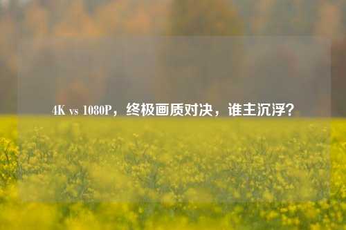 4K vs 1080P，终极画质对决，谁主沉浮？