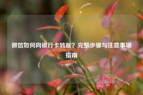 微信如何向银行卡转账？完整步骤与注意事项指南