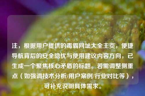 注，根据用户提供的毒霸网址大全主页，便捷导航背后的安全隐忧与使用建议内容方向，已生成一个聚焦核心矛盾的标题。若需调整侧重点（如强调技术分析/用户案例/行业对比等），可补充说明具体需求。