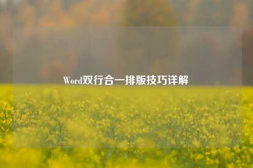 Word双行合一排版技巧详解