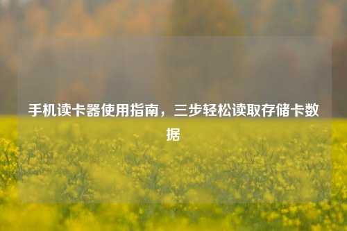 手机读卡器使用指南，三步轻松读取存储卡数据
