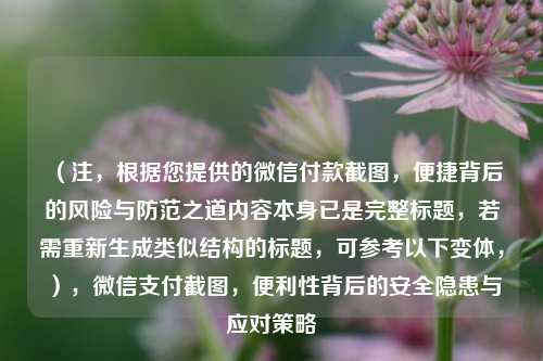 （注，根据您提供的微信付款截图，便捷背后的风险与防范之道内容本身已是完整标题，若需重新生成类似结构的标题，可参考以下变体，），微信支付截图，便利性背后的安全隐患与应对策略