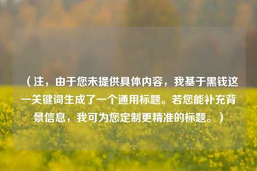 （注，由于您未提供具体内容，我基于黑钱这一关键词生成了一个通用标题。若您能补充背景信息，我可为您定制更精准的标题。）