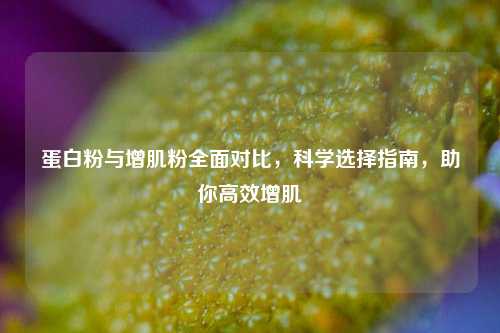蛋白粉与增肌粉全面对比，科学选择指南，助你高效增肌