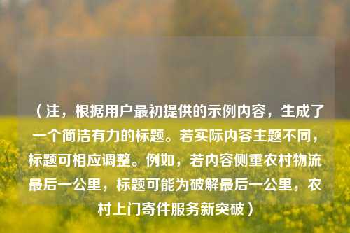 （注，根据用户最初提供的示例内容，生成了一个简洁有力的标题。若实际内容主题不同，标题可相应调整。例如，若内容侧重农村物流最后一公里，标题可能为破解最后一公里，农村上门寄件服务新突破）