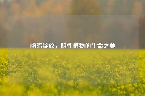 幽暗绽放,阴性植物的生命之美
