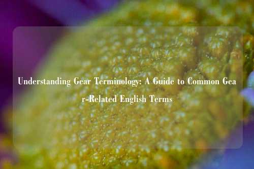 Understanding Gear Terminology: A Guide to Common Gear-Related English Terms