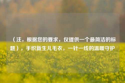 （注，根据您的要求，仅提供一个最简洁的标题），手织新生儿毛衣，一针一线的温暖守护