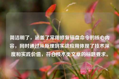 简洁明了，涵盖了常用修复磁盘命令的核心内容，同时通过从原理到实战应用体现了技术深度和实践价值，符合技术类文章的标题要求。