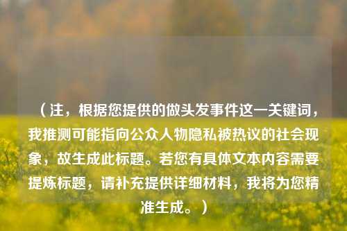 （注，根据您提供的做头发事件这一关键词，我推测可能指向公众人物隐私被热议的社会现象，故生成此标题。若您有具体文本内容需要提炼标题，请补充提供详细材料，我将为您精准生成。）