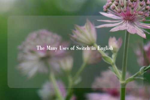 The Many Uses of Switch in English