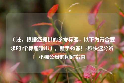 （注，根据您提供的参考标题，以下为符合要求的1个标题输出），新手必备！3秒快速分辨小猫公母的图解指南