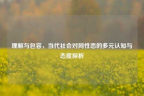 理解与包容，当代社会对同性恋的多元认知与态度探析