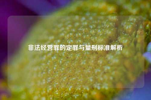非法经营罪的定罪与量刑标准解析