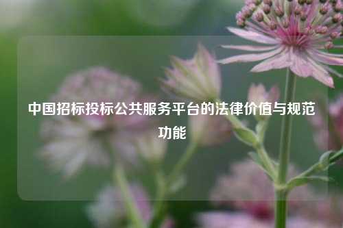 中国招标投标公共服务平台的法律价值与规范功能