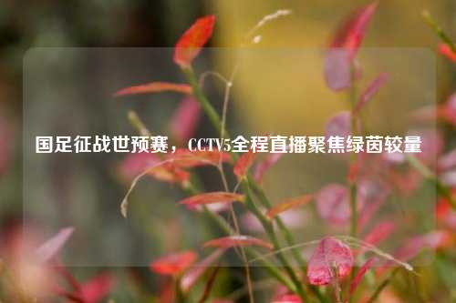 国足征战世预赛，CCTV5全程直播聚焦绿茵较量