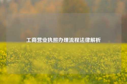 工商营业执照办理流程法律解析