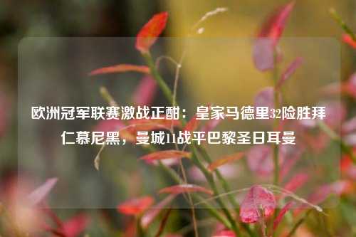 欧洲冠军联赛激战正酣：皇家马德里32险胜拜仁慕尼黑，曼城11战平巴黎圣日耳曼