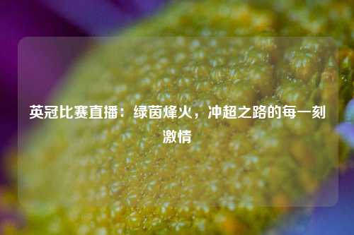 英冠比赛直播：绿茵烽火，冲超之路的每一刻激情