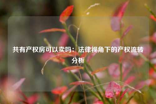 共有产权房可以卖吗：法律视角下的产权流转分析