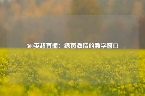 360英超直播：绿茵激情的数字窗口