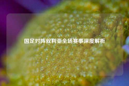 国足对阵叙利亚全场赛事深度解析