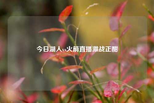 今日湖人vs火箭直播激战正酣