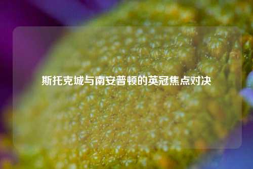 斯托克城与南安普顿的英冠焦点对决